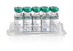 FeliBio PCH, emulsie injectabilă pentru pisici