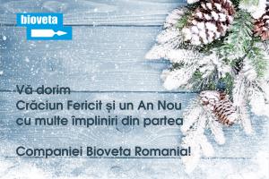 Craciun Fericit și La mulți ani!