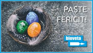 PAȘTE FERICIT! 