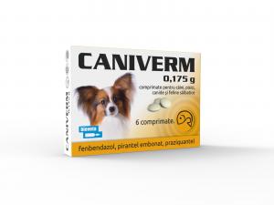CANIVERM comprimate – produs antiparazitar pentru tratamentul nematodozelor și cestodozelor
