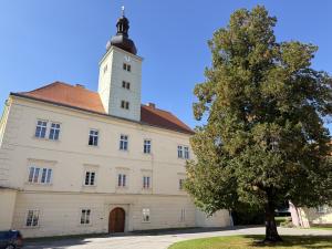 Bioveta va transforma un castel degradat într-un centru multicultural