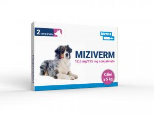 Miziverm