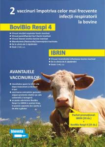 BoviBio Respi 4 - nou vaccin pentru bovine în România!