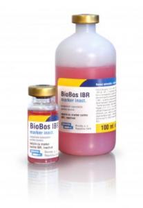 De ajutor în eradicarea IBR-ului:  BioBos IBR Marker, inactivat