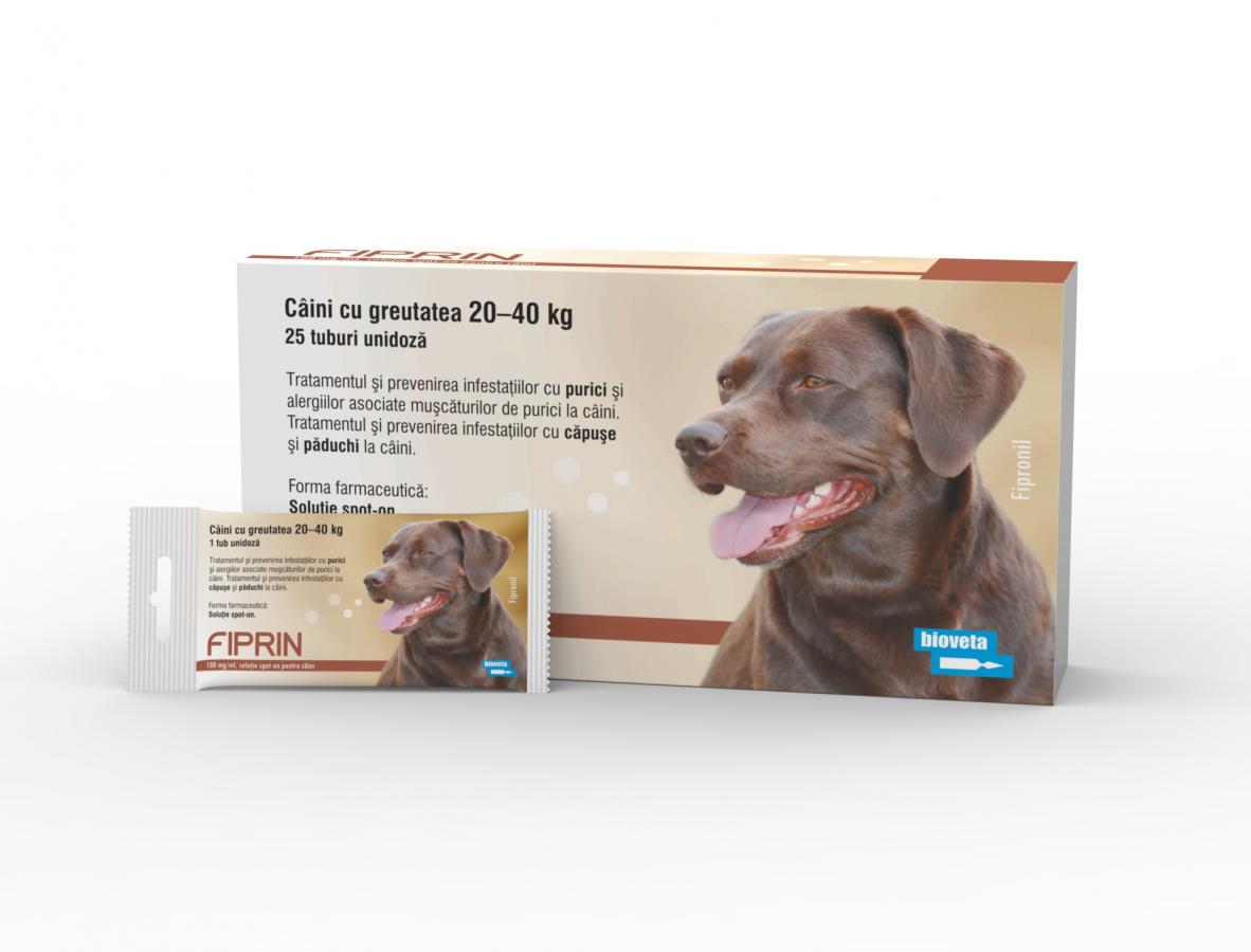 FIPRIN 268 mg spot‐on  soluție pentru câini L