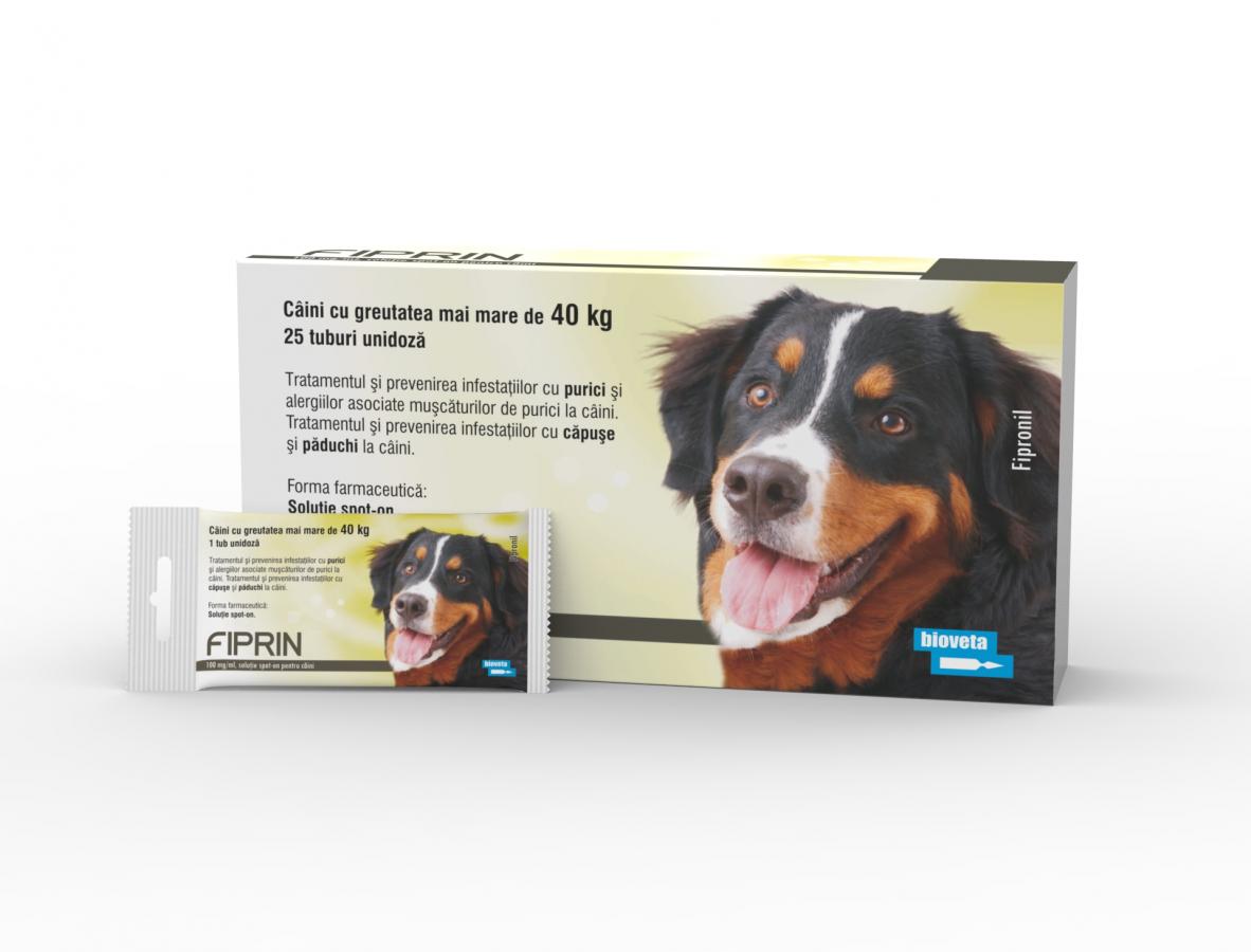 FIPRIN 402 mg spot‐on  soluție pentru câini XL